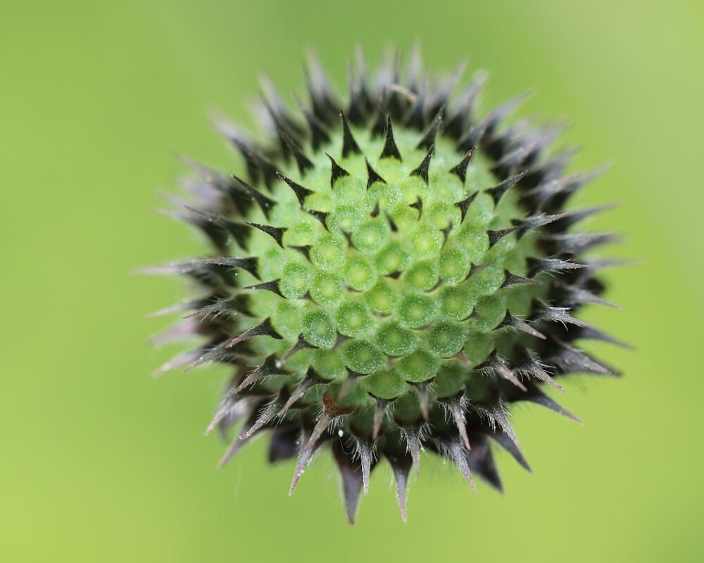 Att bygga och utrusta ett funktionellt och kreativt uthus - Bild.