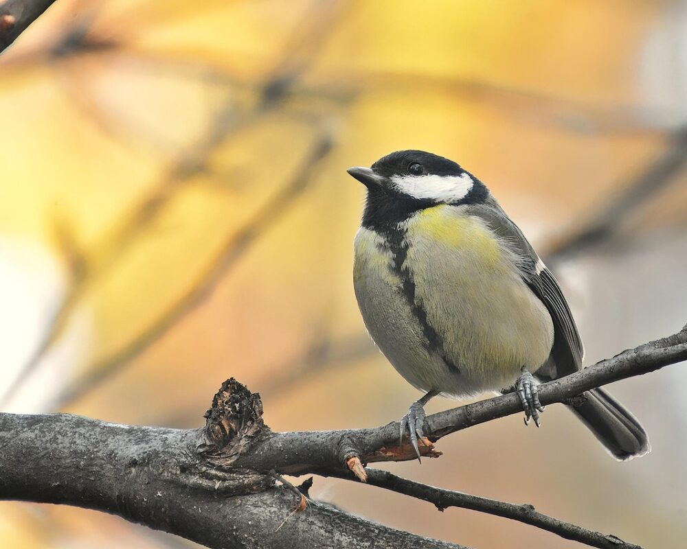 Grön industri för framtida generationer - Bild.